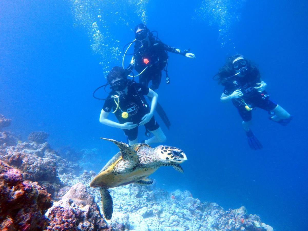 Furaveri Maldives - Complimentary Round-Trip Seaplane Transfer For Two For A Minimum Of 5 Nights Or More From May 1St To October 31St, 2025 Meedhoo  Εξωτερικό φωτογραφία Scuba divers with a hawksbill turtle